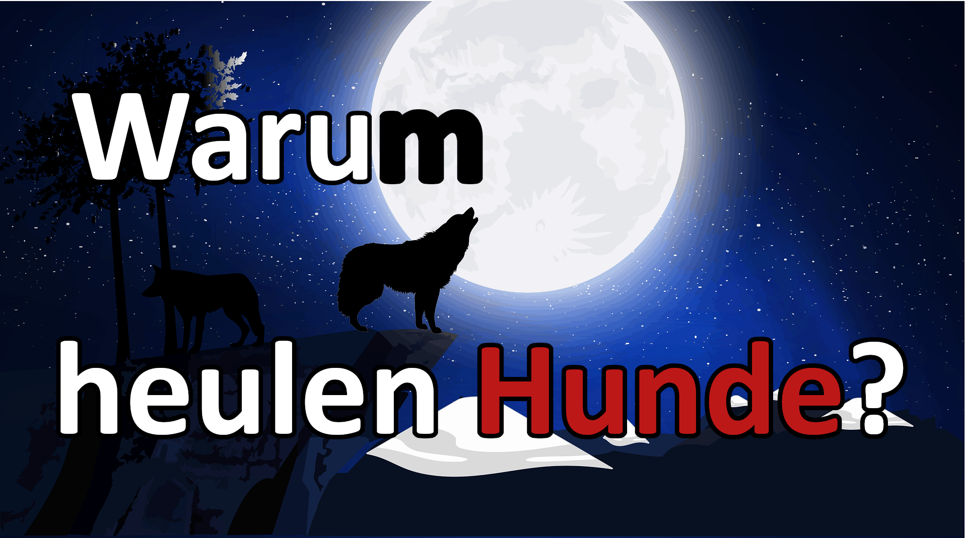 Warum heulen Hunde?