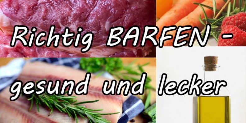 Richtig BARFEN - Gesundes und leckeres Hundefutter