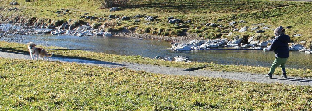 Hund an der Schleppleine mit Handschlaufe